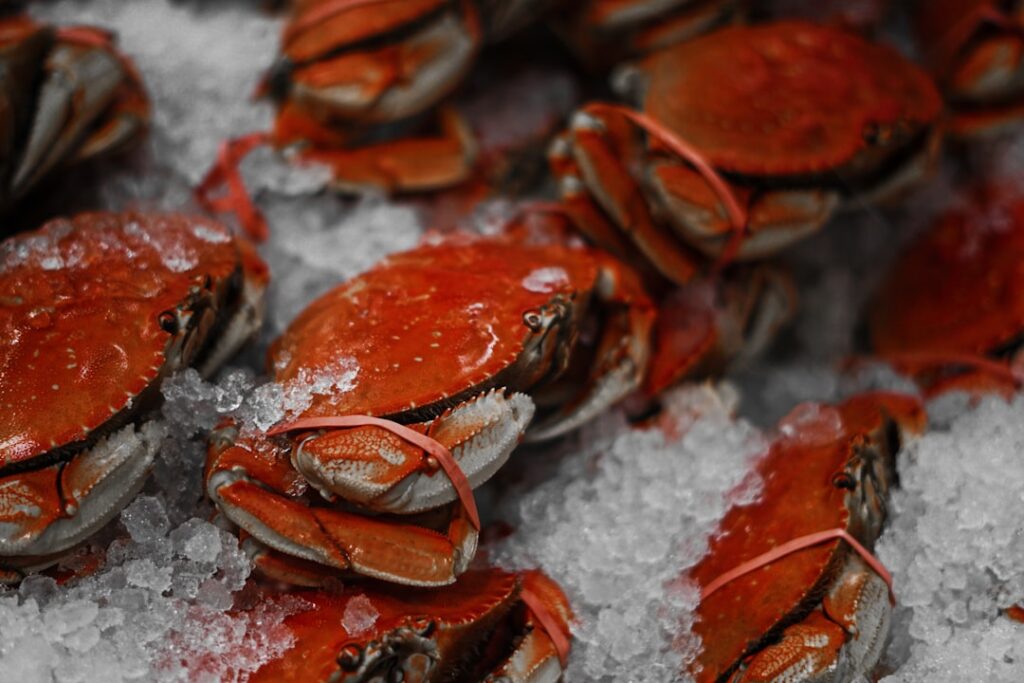 Photo seafood market