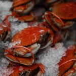 Photo seafood market